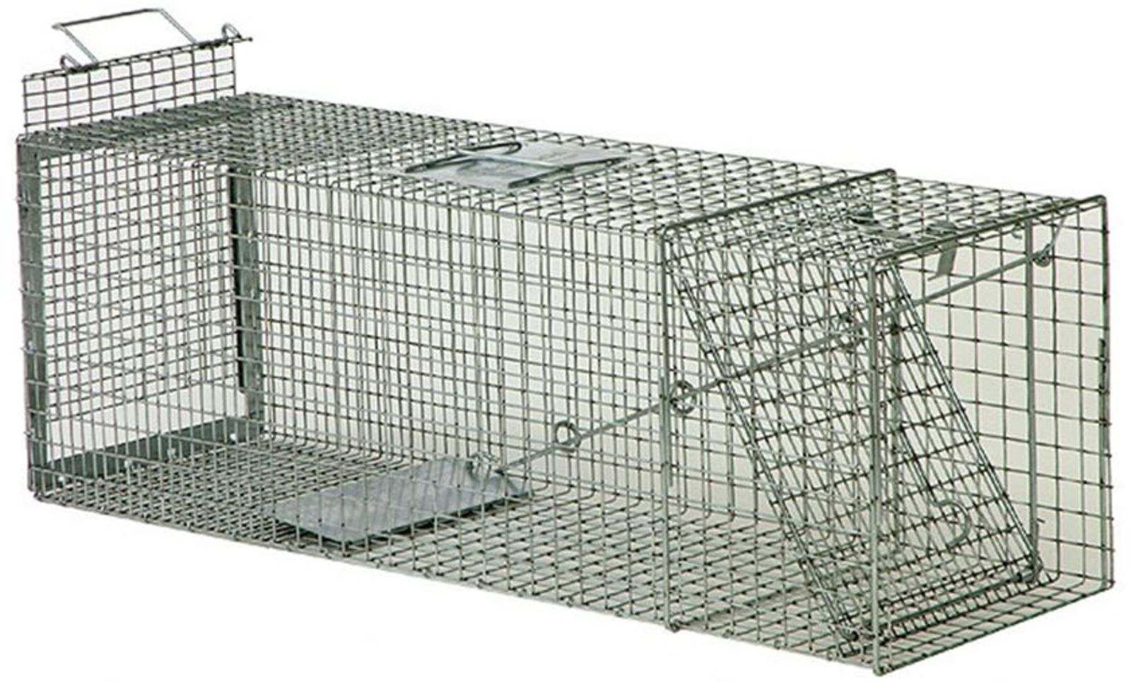 Live cat best sale traps