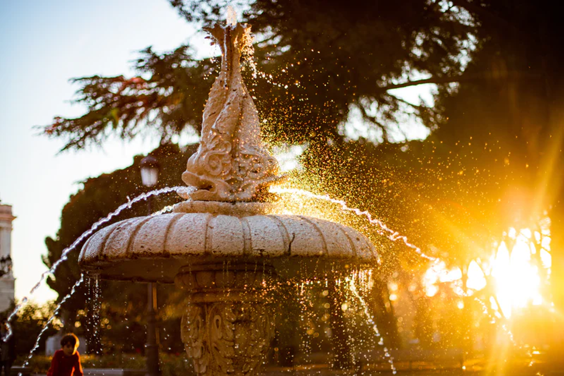 Water Feature