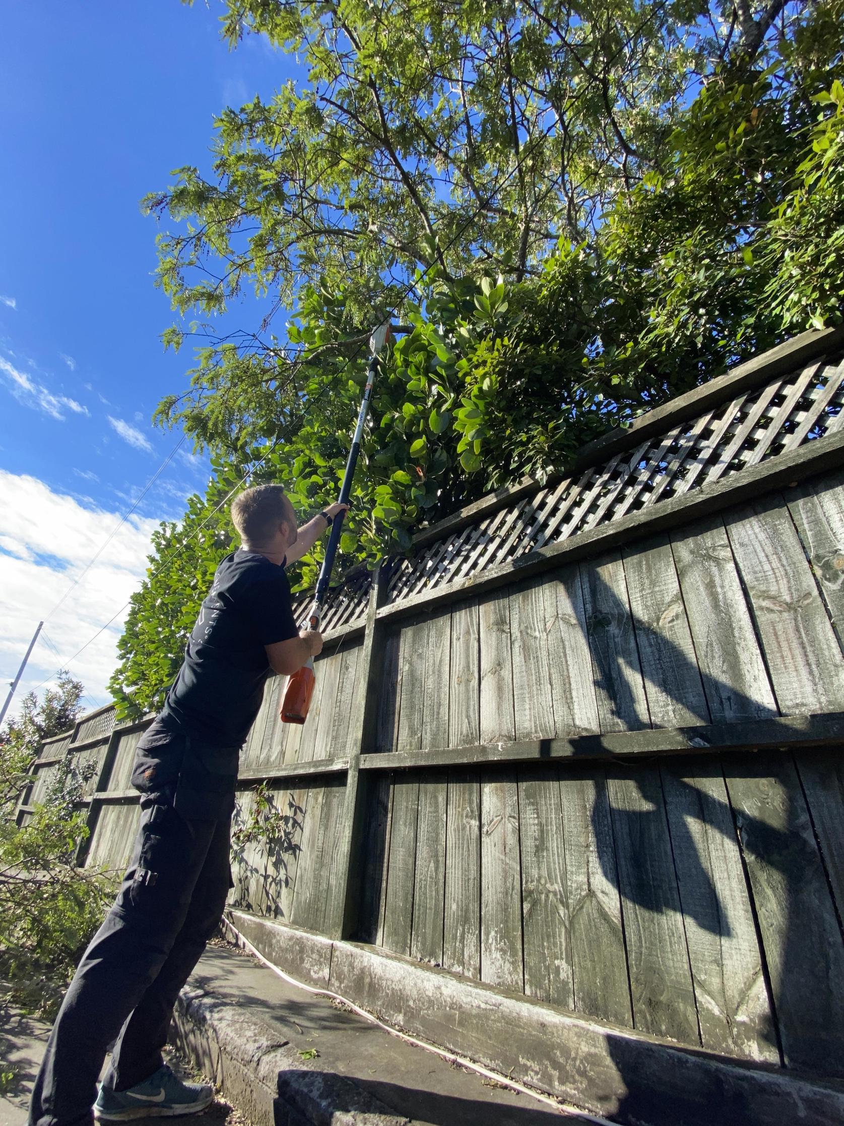 pole saw