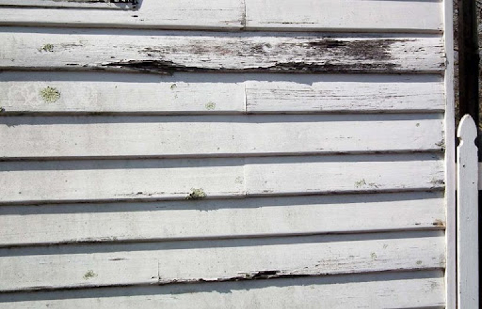 exterior-house-weatherboards